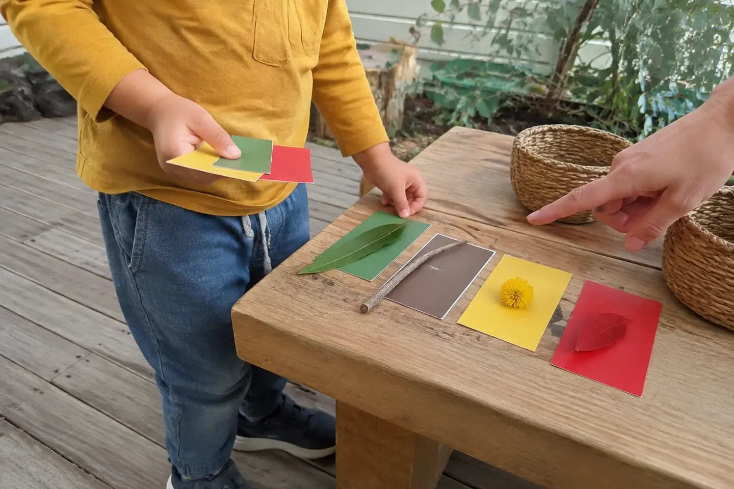 Preschool child matching colourful nature items to colour cards during an outdoor colour hunt